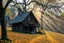 Placeholder: A Austrian wooden house in a mystery hilly oak forest in autumn, yellow orange leaves on ground, moist in air, early morning, sun streaks, dense vegetation, gnomes