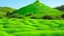 Placeholder: A lime green steppe near hills designed in Mexican folk art painted by Antoni Gaudi