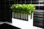 Placeholder: hydroponic
