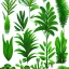 Placeholder: word vector plants vector vector vector vector design vector