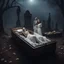 Placeholder: Hyper Realistic Center Top Angle Shot Of A Dead Married Couple (Man Skeleton In White Tuxedo & White Pant And Woman Skeleton In White Bride Gown) Both Lying In A Coffin With Their Skeletons, in A Spooky Cemetery At Dark Foggy Night Showing Dramatic And Cinematic Ambiance.