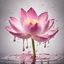 Placeholder: beautiful pink lotus flower in milk splash