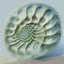 Placeholder: portré sivatagi homok, hogy a por néz ki, mint egy forgószél alakú fa napfény geometrical fractal shell, nautilus regular logarithmic spiral geometrically developed Fibonacci, translucent,