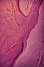 Placeholder: Human skin under the microscope