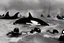 Placeholder: An orca army fighting in WW2 on D-Day