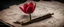 Placeholder: Hyper realistic red tulip on the side of a vintage paper with harmonica instrument & small musical notes with dark background