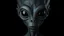 Placeholder: upper body shot of a super black skin alien, full head, 40 years old, looking at the camera, super big head, super big black eyes, small mouth, no ears, total black skin. photo real, hyperrealistic, high dynamic range, rich colors, lifelike textures, 8K UHD, high color depth. neutral dark background.