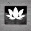 Placeholder: black and white lotus, fly, Van Gohg, hard contrast