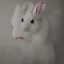 Placeholder: white rabbit portrait