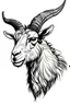 Placeholder: a goat 2d with horn