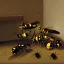 Placeholder: A family of wasps by vermeer