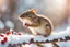 Placeholder: A beautiful little chipmunk catches a berry while standing on a snowy branch in sunshine, ethereal, cinematic postprocessing, bokeh, dof