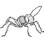 Placeholder: Cartoon outline, Bullet Ant, coloring pages, no color, highly detailed, black and white, white background, highly detailed