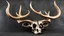 Placeholder: masterpiece, best quality, antlerstyle, reindeer, reindeer antlers, skull