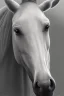 Placeholder: full Closeup portrait of a lipizzaner horse, smooth soft skin, soft lighting, detailed face, concept art, digital painting, looking into camera, hyper realistic with fine details