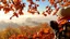 Placeholder: Autumn: falling leaves, Misty mornings, fog over distant fields or forests, sunshine; people wearing scarves, woolly hats, gloves, holding mugs of steaming hot drinks; chestnuts, acorns, berries, rowan, holly, mistletoe; birds migrating; squirrels gathering nuts; beautiful colours, atmospheric. Award winning photograph.