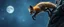 Placeholder: spider fox