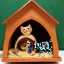 Placeholder: Cat in a nativity scene with a good time