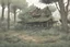 Placeholder: clearing, yard, forest,overgrown, post-apocalyptic, comic book,