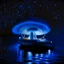 Placeholder: a noctilucent boat made of a mushroom on the ocean at night by artist "Michiel Schrijver",by artist "Leonora Carrington",by artist "Pinhole Photography"