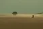 Placeholder: morning by Roger Deakins