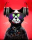 Placeholder: cat dj wearing sunglasses and headphones at a rave too cool for school