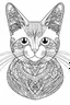 Placeholder: create a very simple image of a cat for colouring book in black and white lines