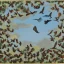 Placeholder: turtle and sky with a flock of birds