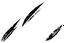 Placeholder: 3 differentparallel diagonal claw slash marks in black on white, ragged, vector