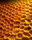 Placeholder: honeycombs different sizes, background phoro