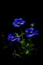 Placeholder: violet bloomes, natural and very special in the dark of the humid night -- ar 9:16--v52