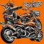 Placeholder: harley davidson logo