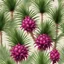 Placeholder: A bush of palm leaves with dragon fruit on a light background to remove