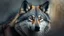 Placeholder: wolf