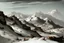 Placeholder: mountain range in snow by pontormo