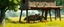 Placeholder: 3d airbrush render,Show several tiny wildlife animals comfortably passing underneath the elevated structure, with birds perched on top and watching the commotion with curiosity. The environment is green countryside with trees and grass.