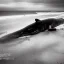 Placeholder: photograph of beautiful sperm whale washed up on shore, lifeless, debris, foamy wave, sand, rock, 8k resolution, high-quality, fine-detail, detailed matte, photography, illustration, digital art, Jeanloup Sieff, Moe Zoyari, Marc Adamus, Ann Prochilo, Romain Veillon