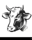 Placeholder: I want a bovine head in vector