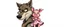 Placeholder: wolf carrying a lovely scared wtf are you up to, pig girl with dress under his arms , stupid cartoon, airbrush and pen outline