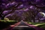 Placeholder: DETAILED PHOTOGRAPH OF BLOOMIMG COLOURFUL jacaranda trees on both sides in a WIDE tarred ROAD with flowers a, dark shadows foliage on both sides byJenny Boon