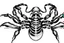 Placeholder: Detailed, inking illustration, realistic, symmetrical, poisonous scorpion.