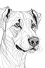 Placeholder: Line art dog
