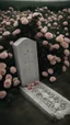 Placeholder: A grave in a field full of roses. Above the grave is a white lace scarf and a gun.cinematic