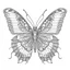 Placeholder: Butterfly coloring book adtls