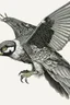 Placeholder: "Create an AI line art piece featuring the Peregrine Falcon, half body short, front short, one of nature's fastest and most agile predators. Capture the bird in flight, showcasing its incredible speed and grace. Highlight the intricate details of its feathers and the intensity in its eyes, embodying the essence of this magnificent raptor."