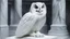 Placeholder: hyper realistic render of a gian owl carved out of white marble, sculpture is displayed inside of a big art exhibit