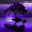 Placeholder: a lonely tree deep purple water