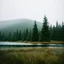 Placeholder: A polaroid photo of a group of fir trees in the background and a high hill in the distance. A lake. The surface below is in a pastel color. Fog is present.