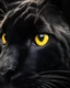 Placeholder: A captivating close-up image of a black panther's eye, glowing bright yellow and filled with intense, wild intensity. The eye is framed by the black fur of the panther, and a sense of wild, untamed nature radiates from it. The overall atmosphere is mysterious and evokes a feeling of wild nature.