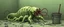 Placeholder: Carrion Crawler Giant pale-green segmented worm with dozens of tiny legs, multiple eyes and long poisonous tentacles around its mouth. Mop, bucket Believes it is an elite professional cleaner.